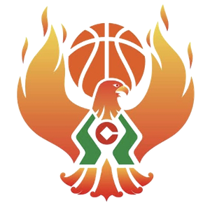 https://img.bjmes.com.cn/img/basketball/team/09b49d34027e0409a4de3295f8c71a2d.png