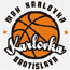 https://img.bjmes.com.cn/img/basketball/team/0c2f73d2ab7041cf90029a20deff7f17.gif