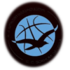 https://img.bjmes.com.cn/img/basketball/team/1a45d903dafdcc026ec9809d9916a681.png